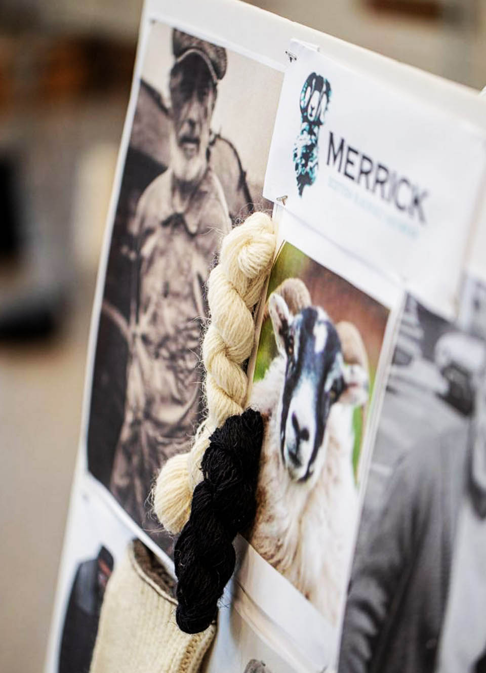 Merrick_visual_8a